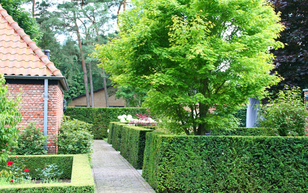 Landelijke tuin Valkenswaard TotaalTuin Leende 2